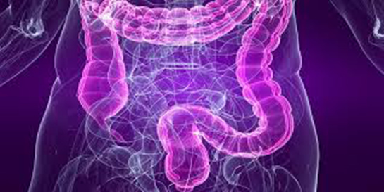 Bağırsak İltihabı Belirtileri ve Tedavisi