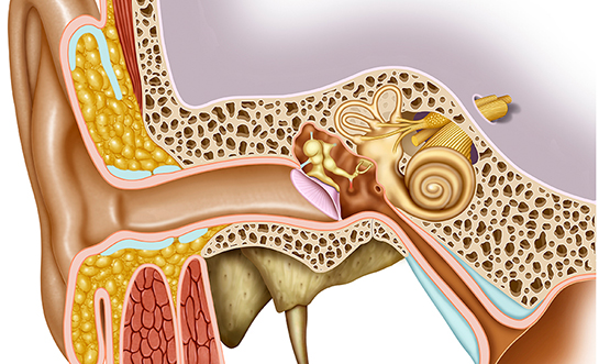 Orta Kulak İltihabı Belirtileri ve Tedavisi